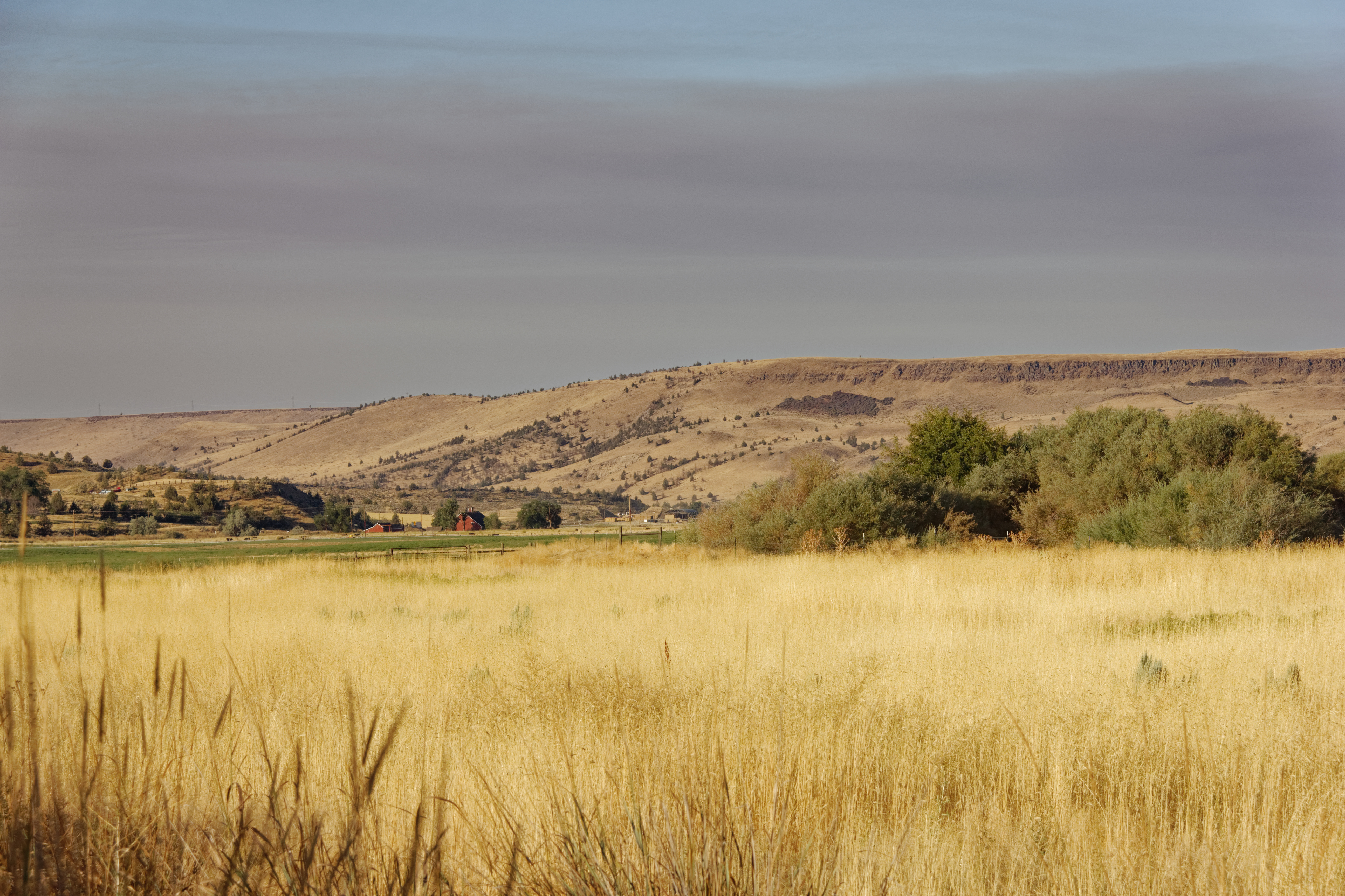 Central Oregon farmland near Madras